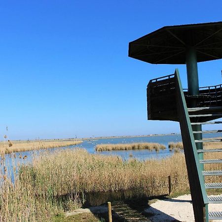 Quet - Casa Rural Con Piscina Privada En El Delta Del Ebro - Deltavacaciones ديلتيبري المظهر الخارجي الصورة